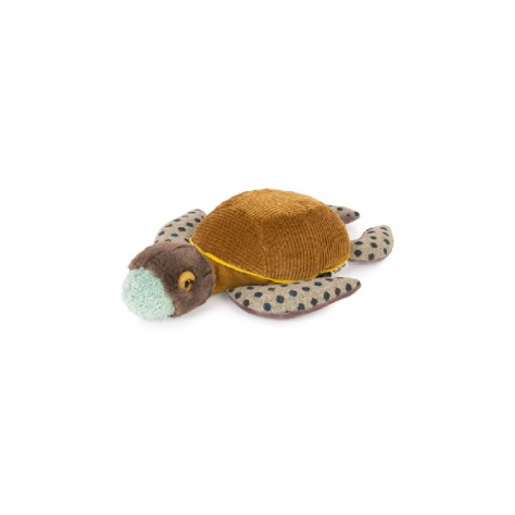 Petite Tortue - Tout Autour Du Monde - MOULIN ROTY